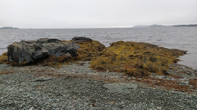 Ternuako ehundurak 2